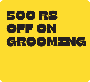 grooming