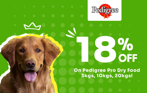 pedigree dog food