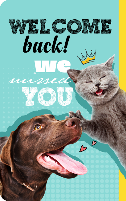 Pet Warehouse - Login
