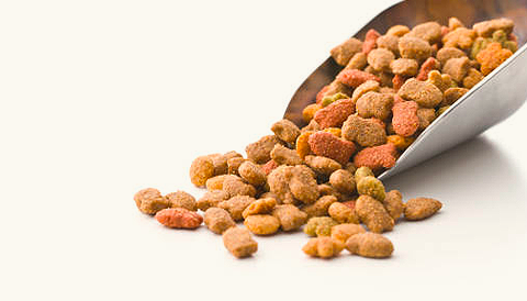 New born Pup Food