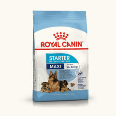 Royal Canin Maxi Starter Dry Food for Large Breed Dog and Puppies