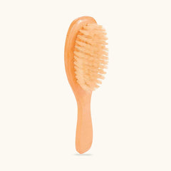 Trixie Natural Bristles Brush for Pets | Pet Warehouse